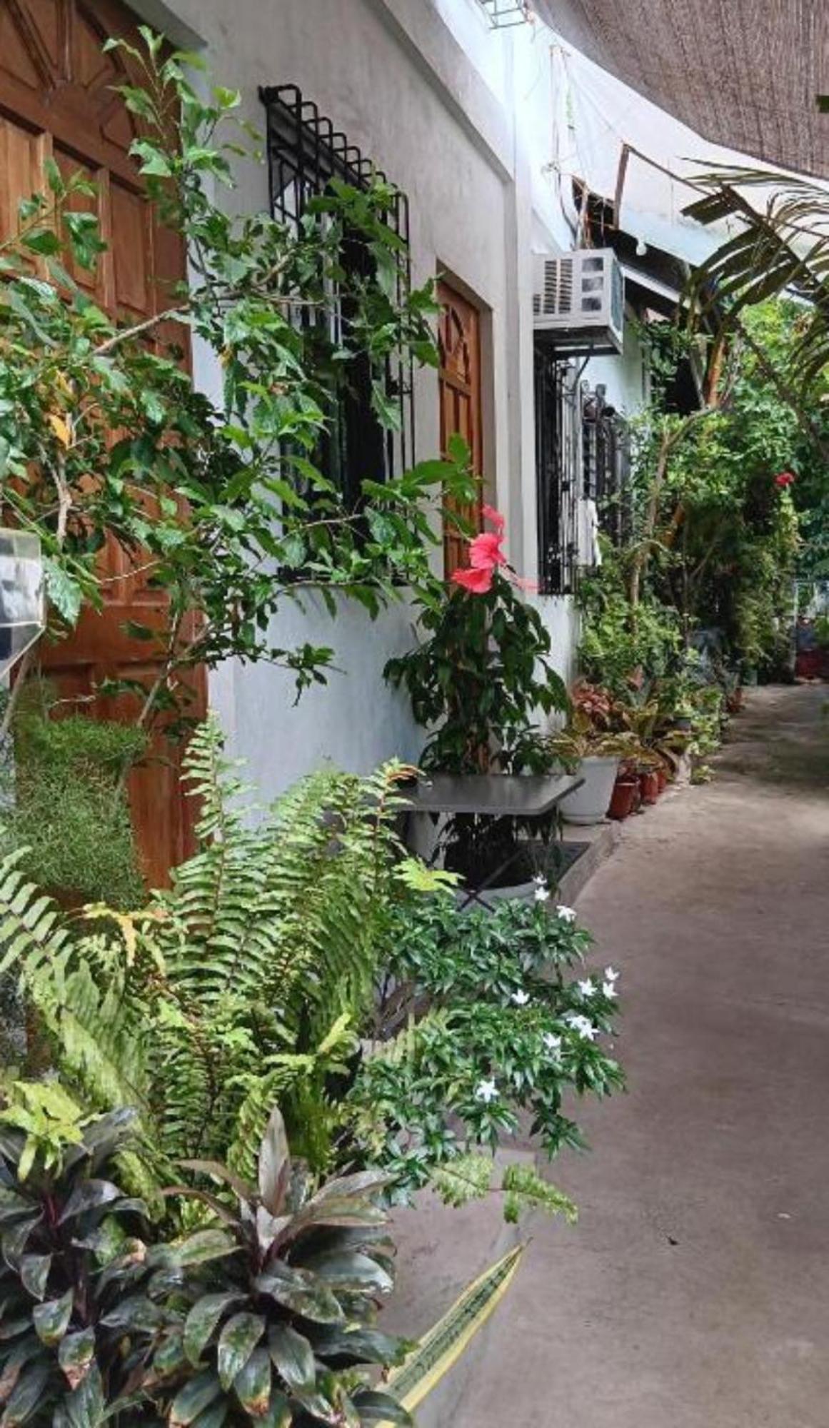 Susing Seaside Guesthouse موالبوال المظهر الخارجي الصورة